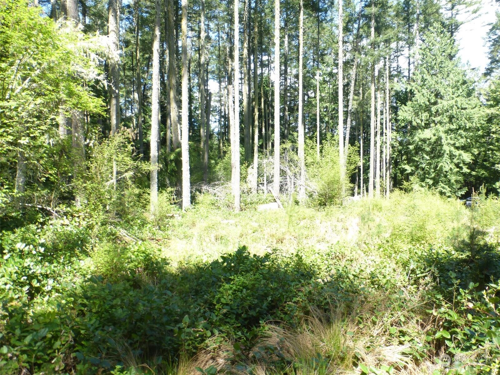 Property Photo:  681 Pavey Boulevard  WA 98261 