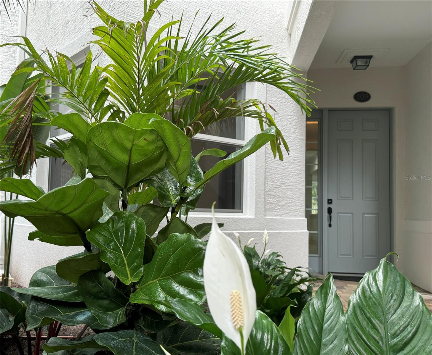 Property Photo: 455 Riverfront 102-A FL 32137