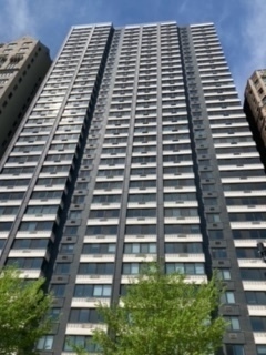 Property Photo: 1440 N Lake Shore Drive 5F IL 60610