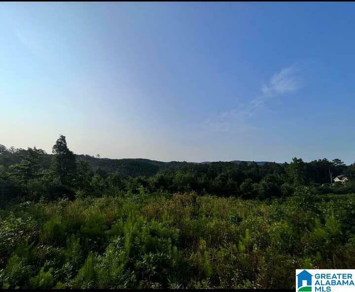 Property Photo:  0 County Road 55 0  AL 36272 