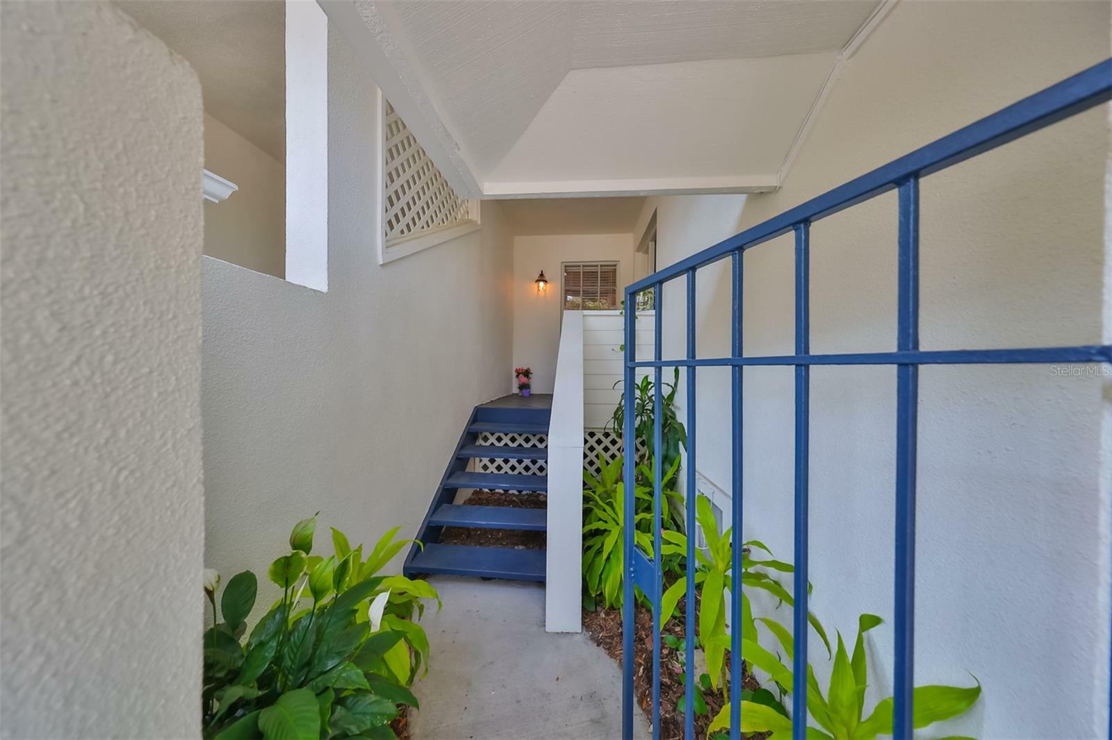 Property Photo: 5203 Bayshore Boulevard 6 FL 33611