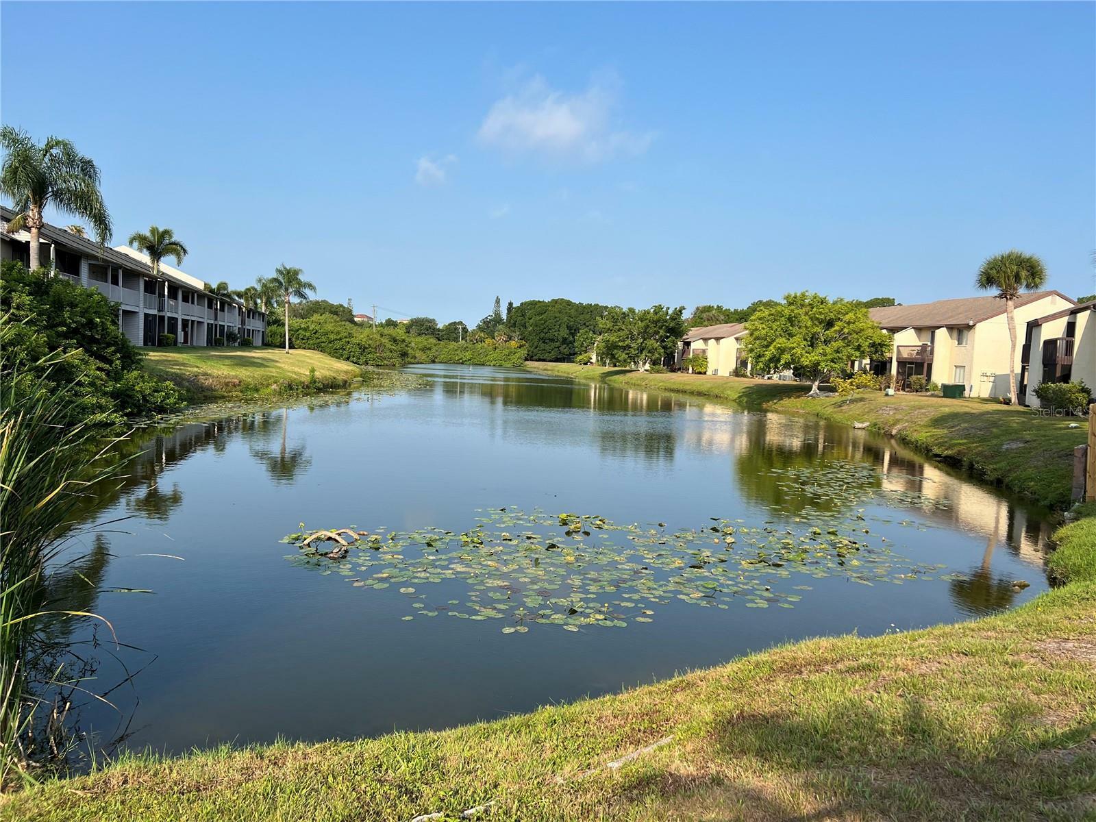 Property Photo:  2721 Hidden Lake Boulevard A  FL 34237 