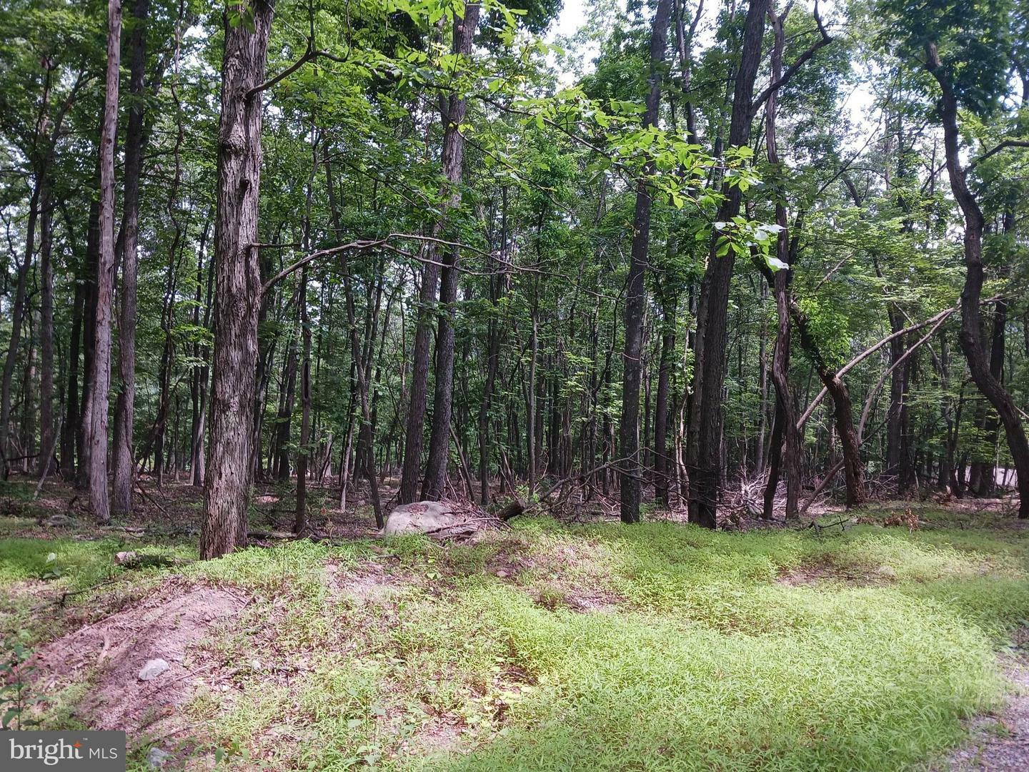 Property Photo:  Lot 6 Wild Apple Ln  WV 25434 