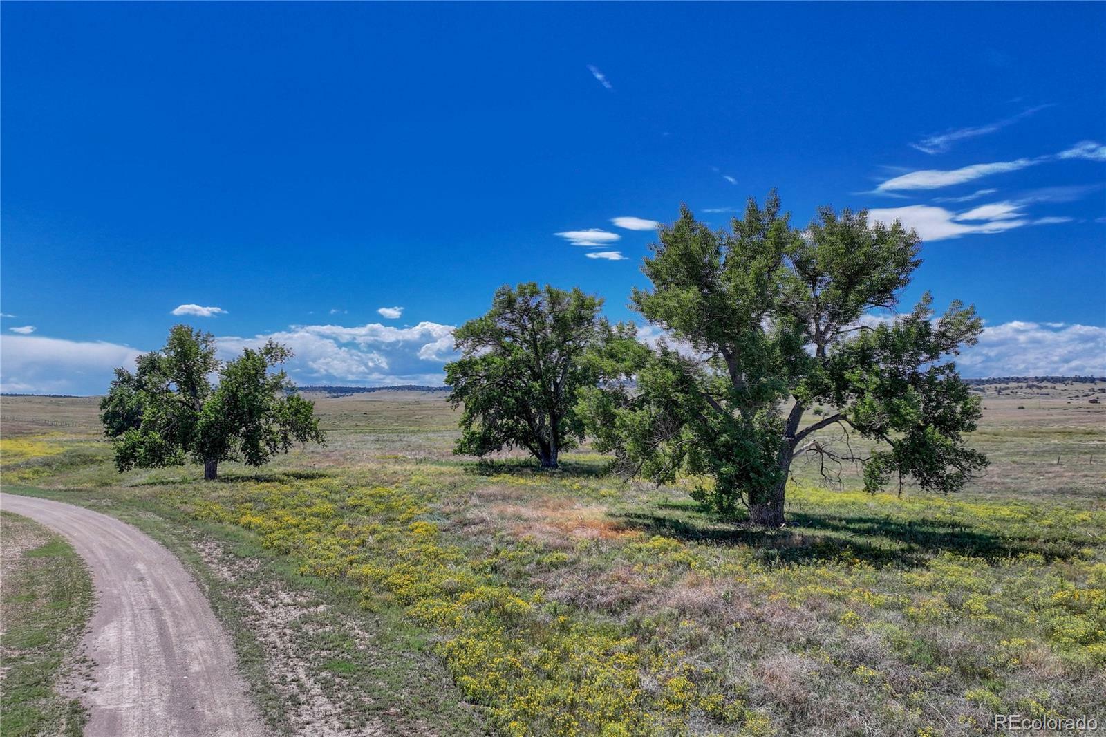 Property Photo:  Fiddleback Ranch Road  CO 80117 