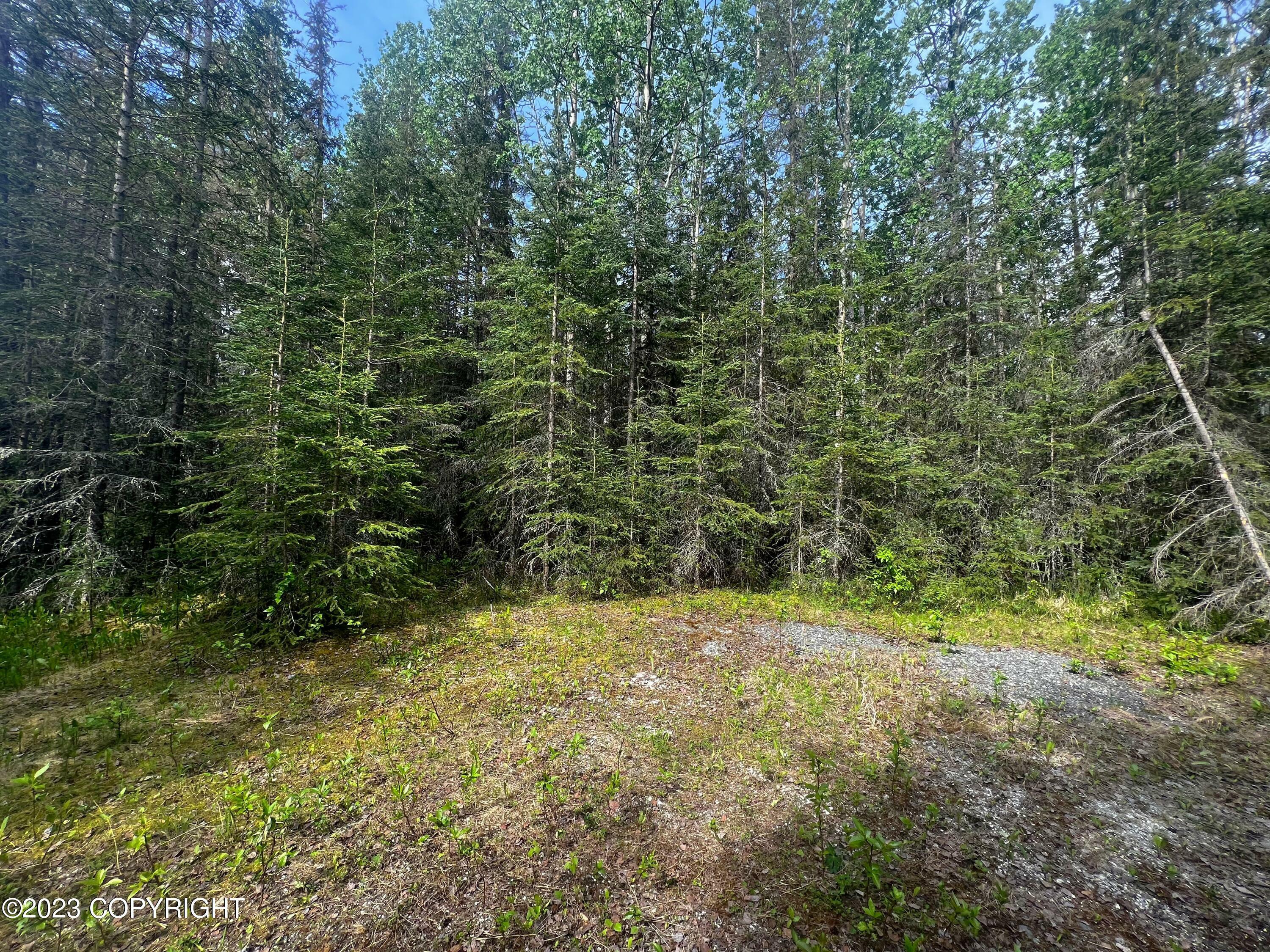 Property Photo:  321 Edwards Court  AK 99669 