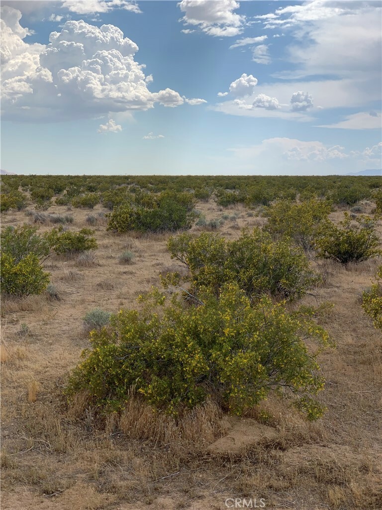 Property Photo: 0 Maverick St CA 93501