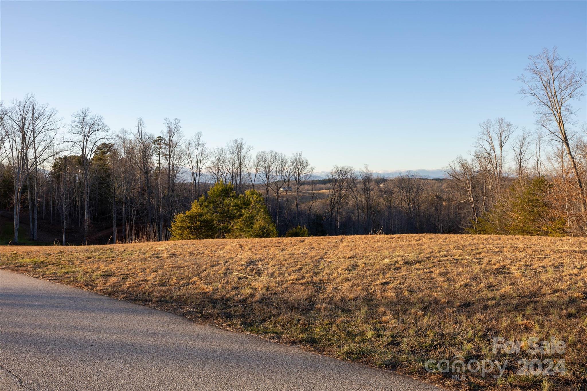 Property Photo:  0000 Baber Forest Drive 21  NC 28139 