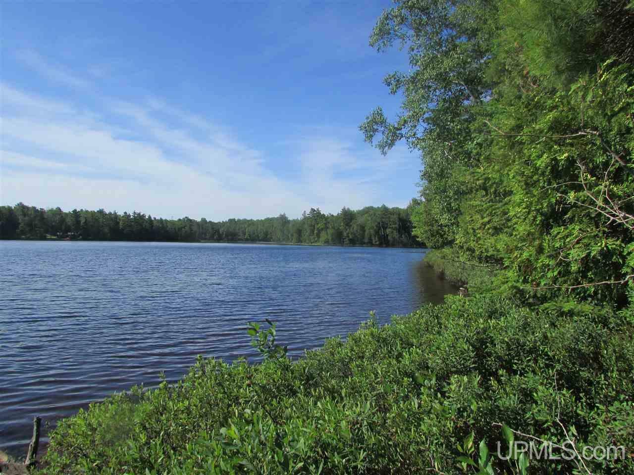 Property Photo:  Tbd Boot Lake  MI 49854 