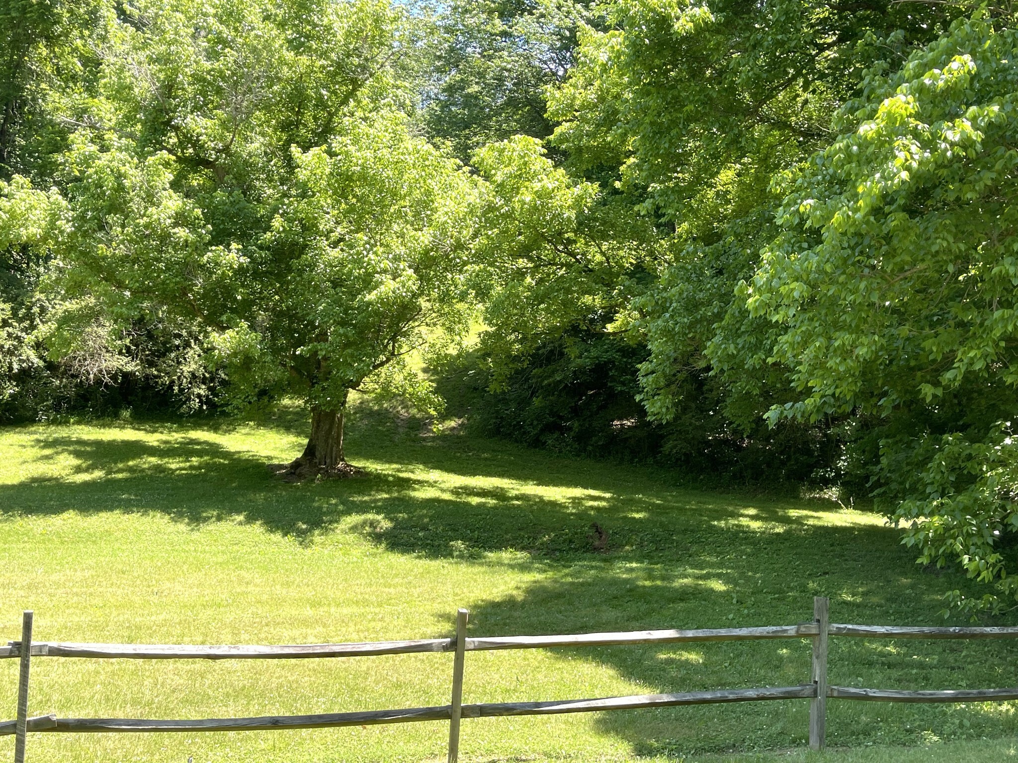 Property Photo: 3360 Highway 12 N TN 37015