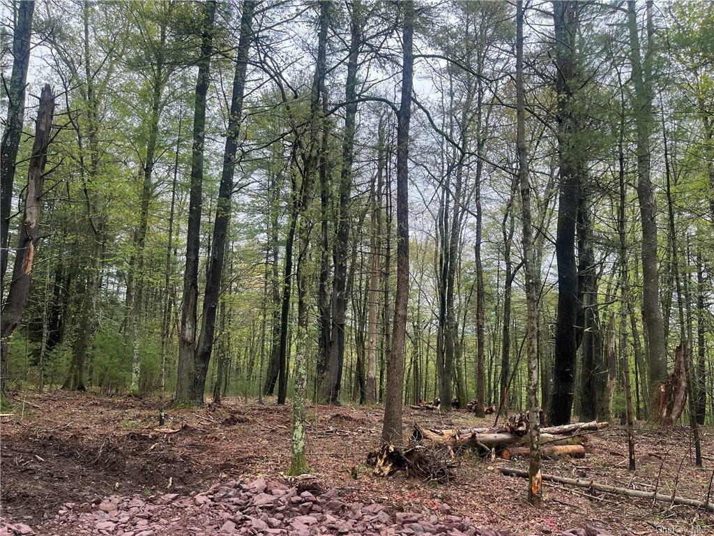 Property Photo:  Lot 2 Van Tuyl Road  NY 12719 