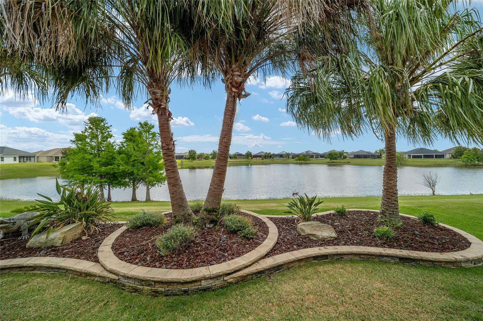 Property Photo:  3512 Dewitt Circle  FL 32163 