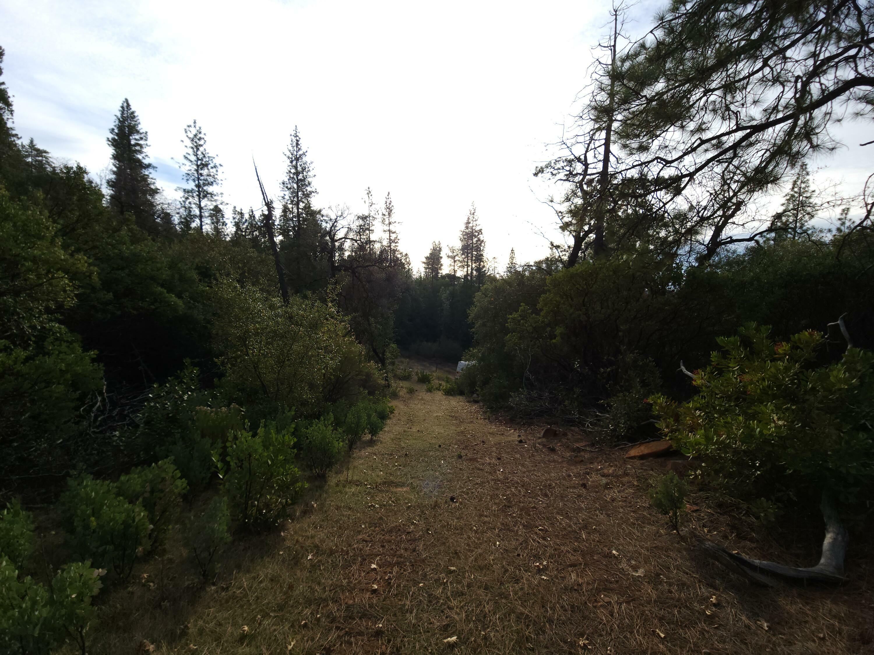 Property Photo:  Powell Ridge Rd  CA 95966 
