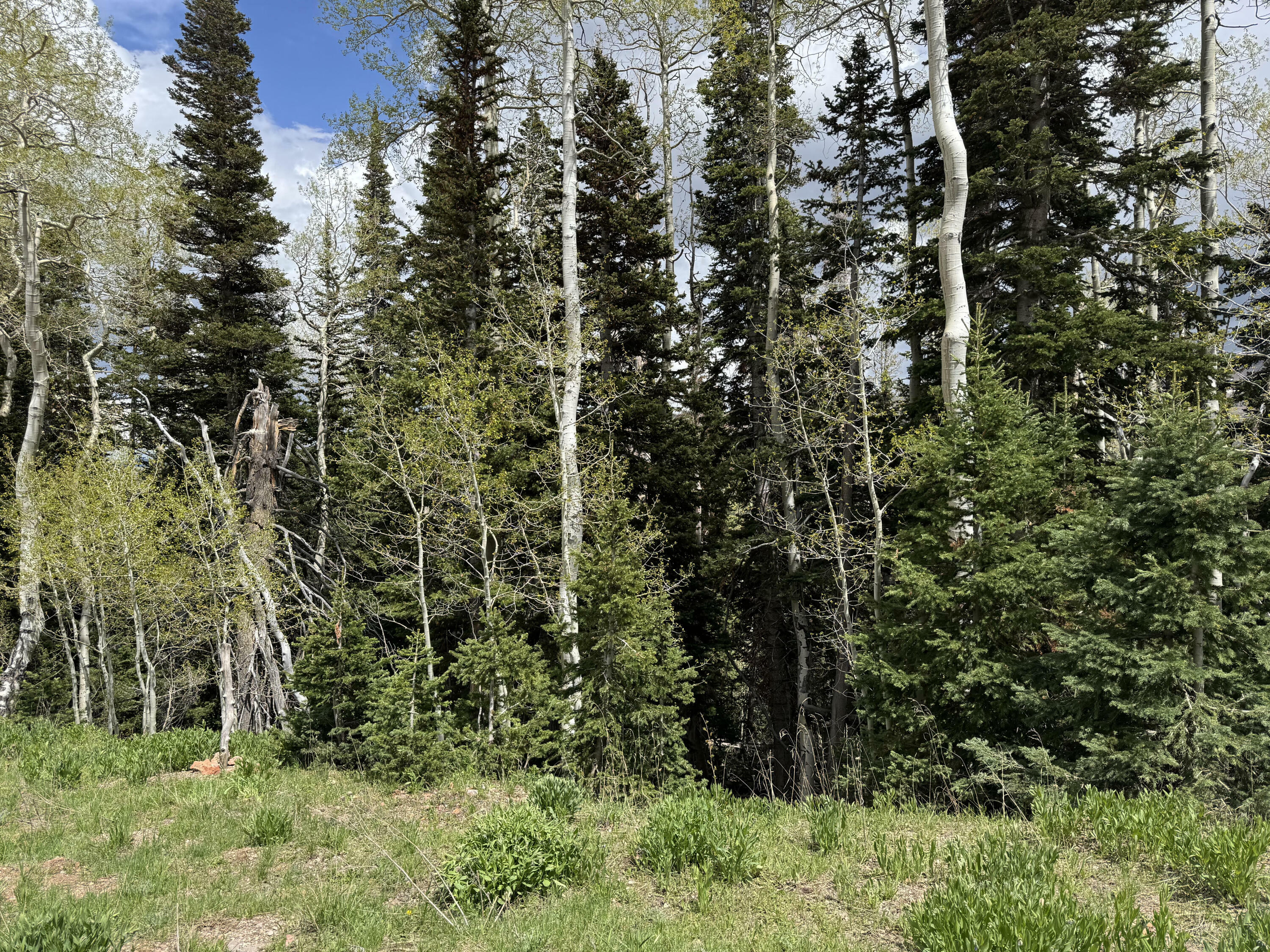 Property Photo: 695 W Hunter Ridge UT 84719