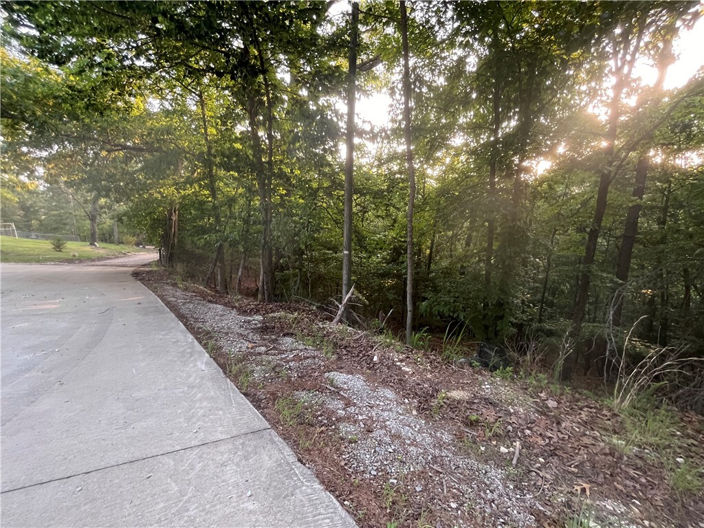 Property Photo: Tbd Jims Trail AR 72756