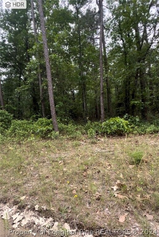 Property Photo: Lot 25 Cedar Lane NC 27242