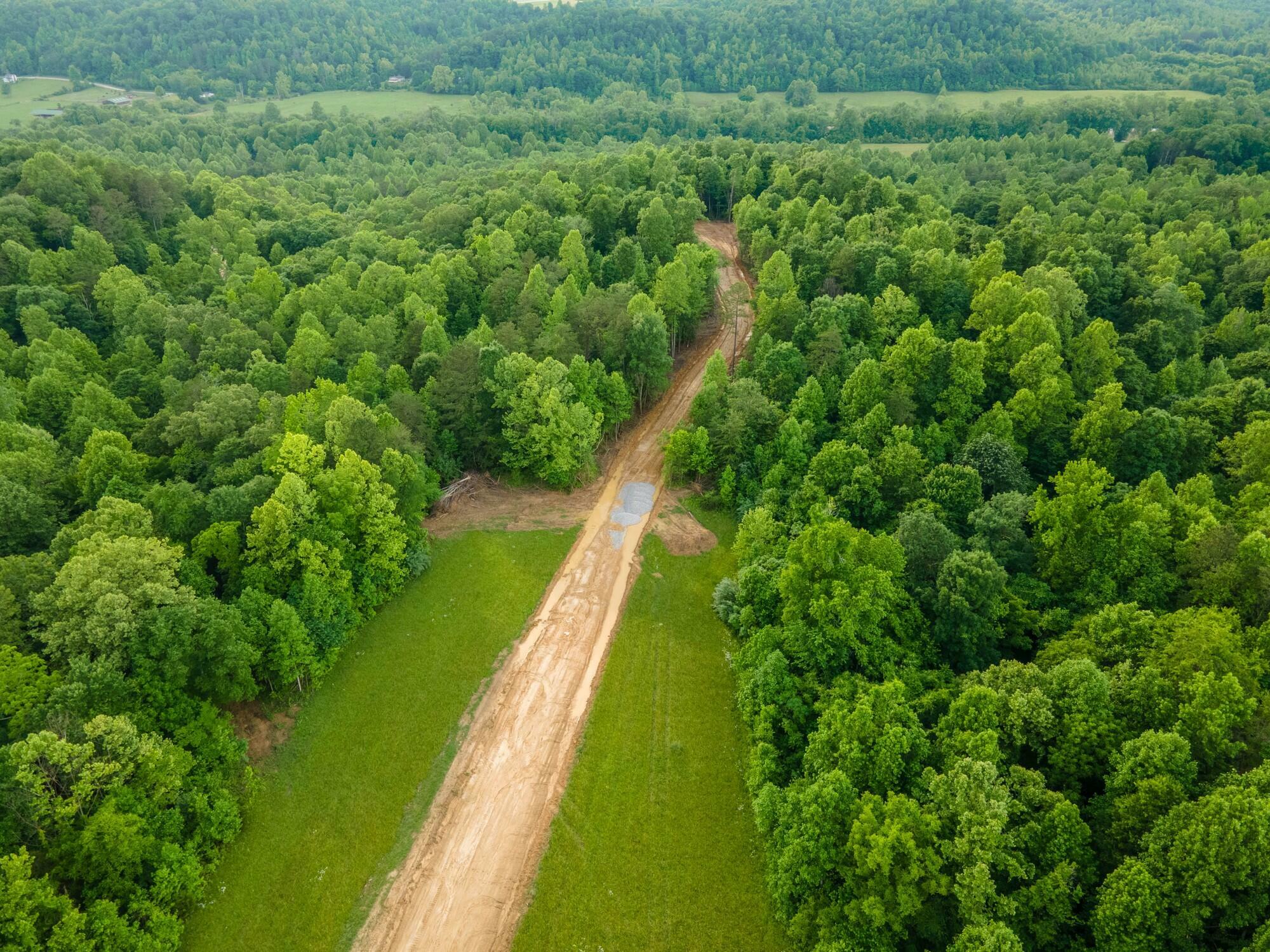 Property Photo:  Lot 140 Mt Morgan Road  KY 40769 