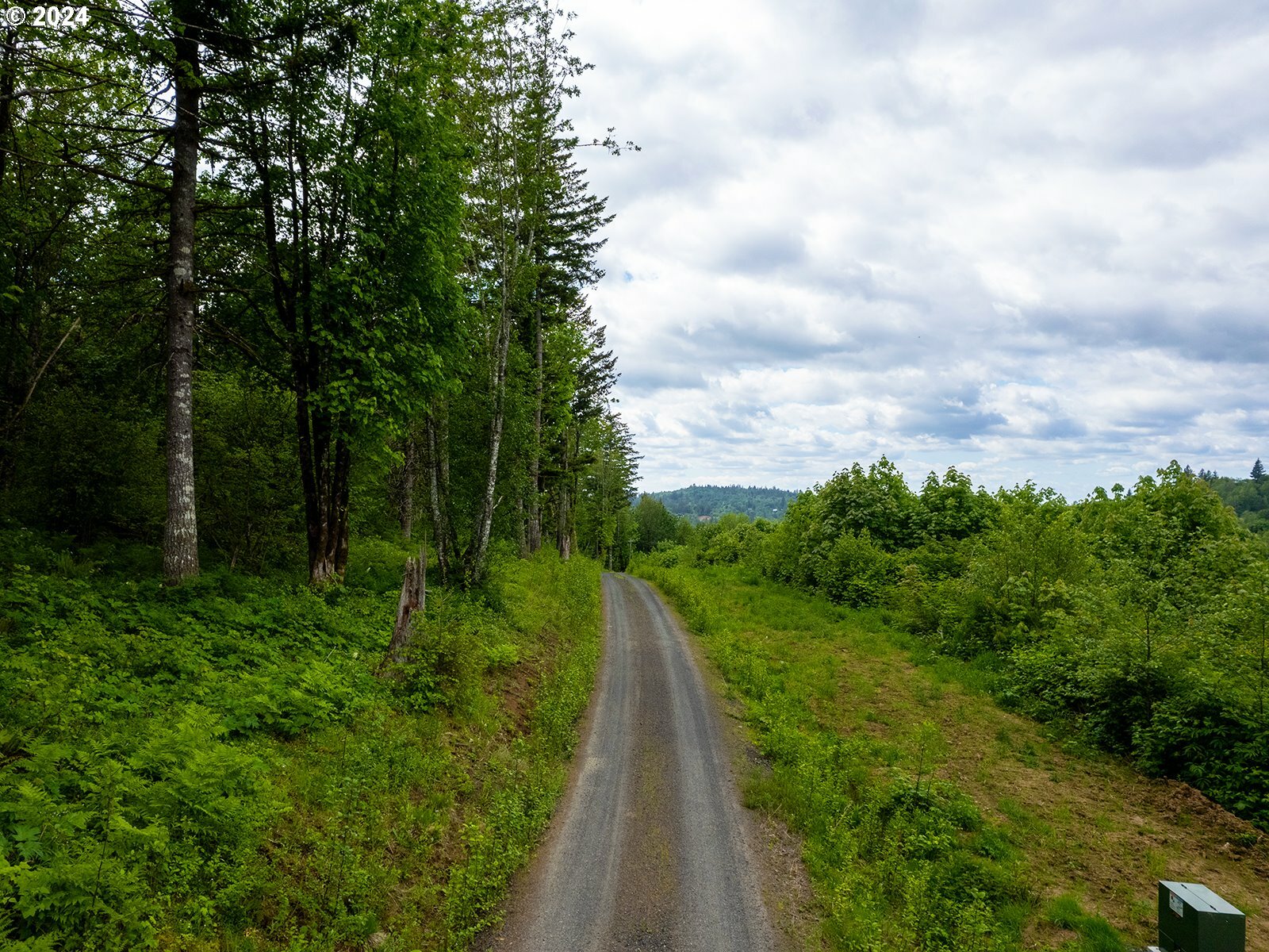 Property Photo:  0 Mt Pleasant Rd Tract 2  WA 98671 