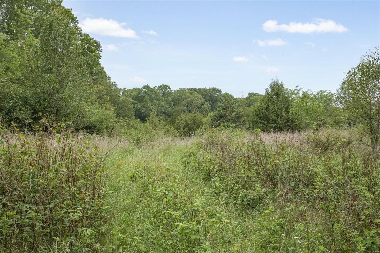 Property Photo:  9449 Hillsboro House Springs Rd  MO 63050 