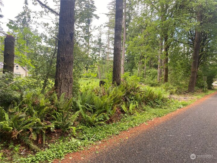 Property Photo: 0 44th Avenue NW WA 98502