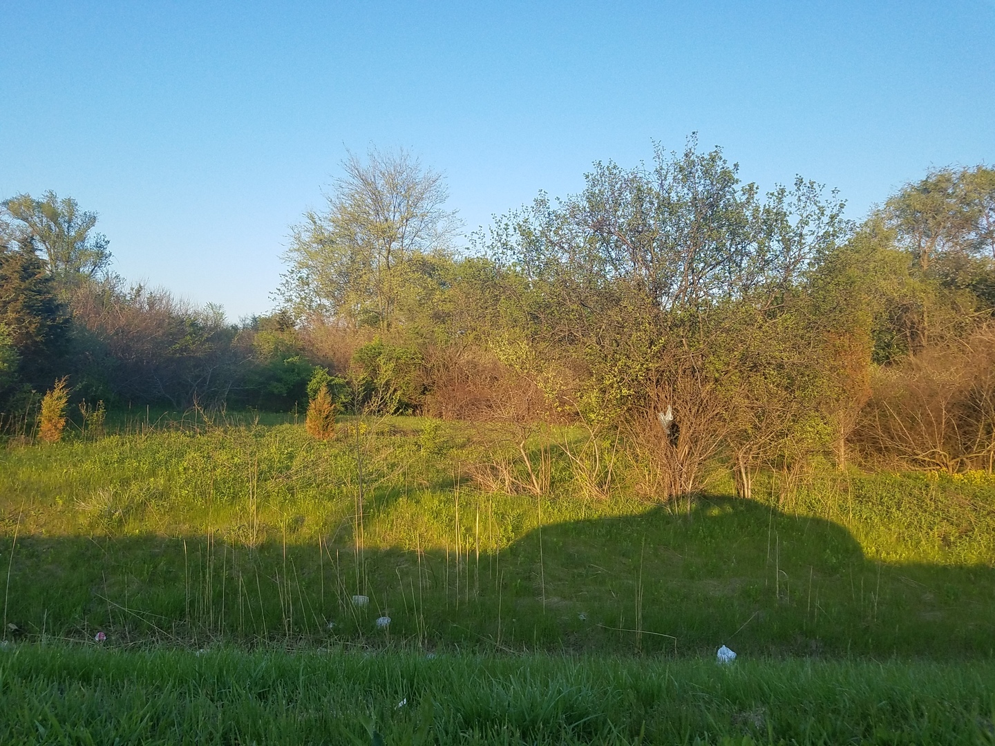 Property Photo:  1811 Il Rte 25 (Elgin) Road  IL 60010 