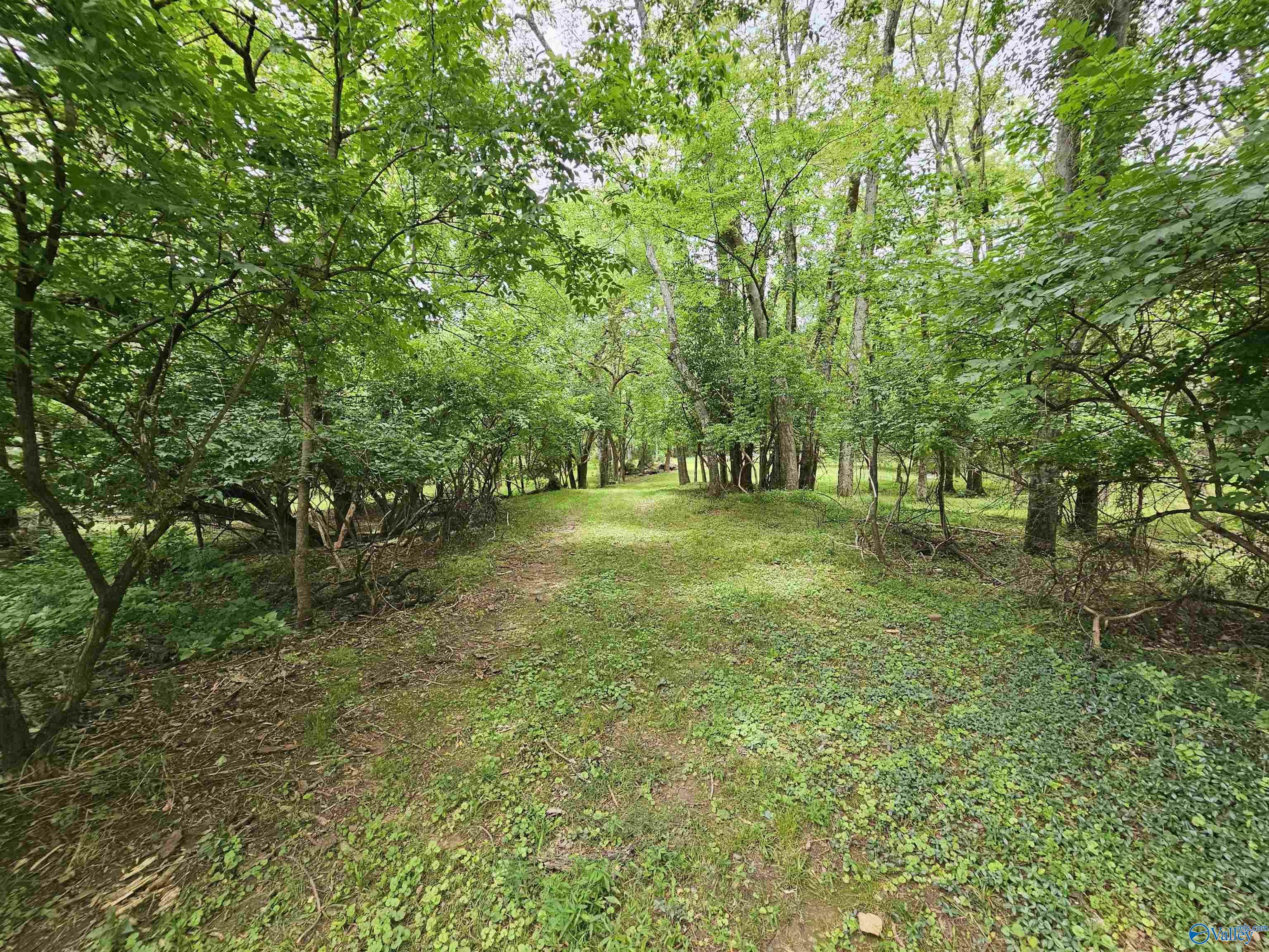 Property Photo:  1.8 Acres Stapp Drive NE  AL 35811 