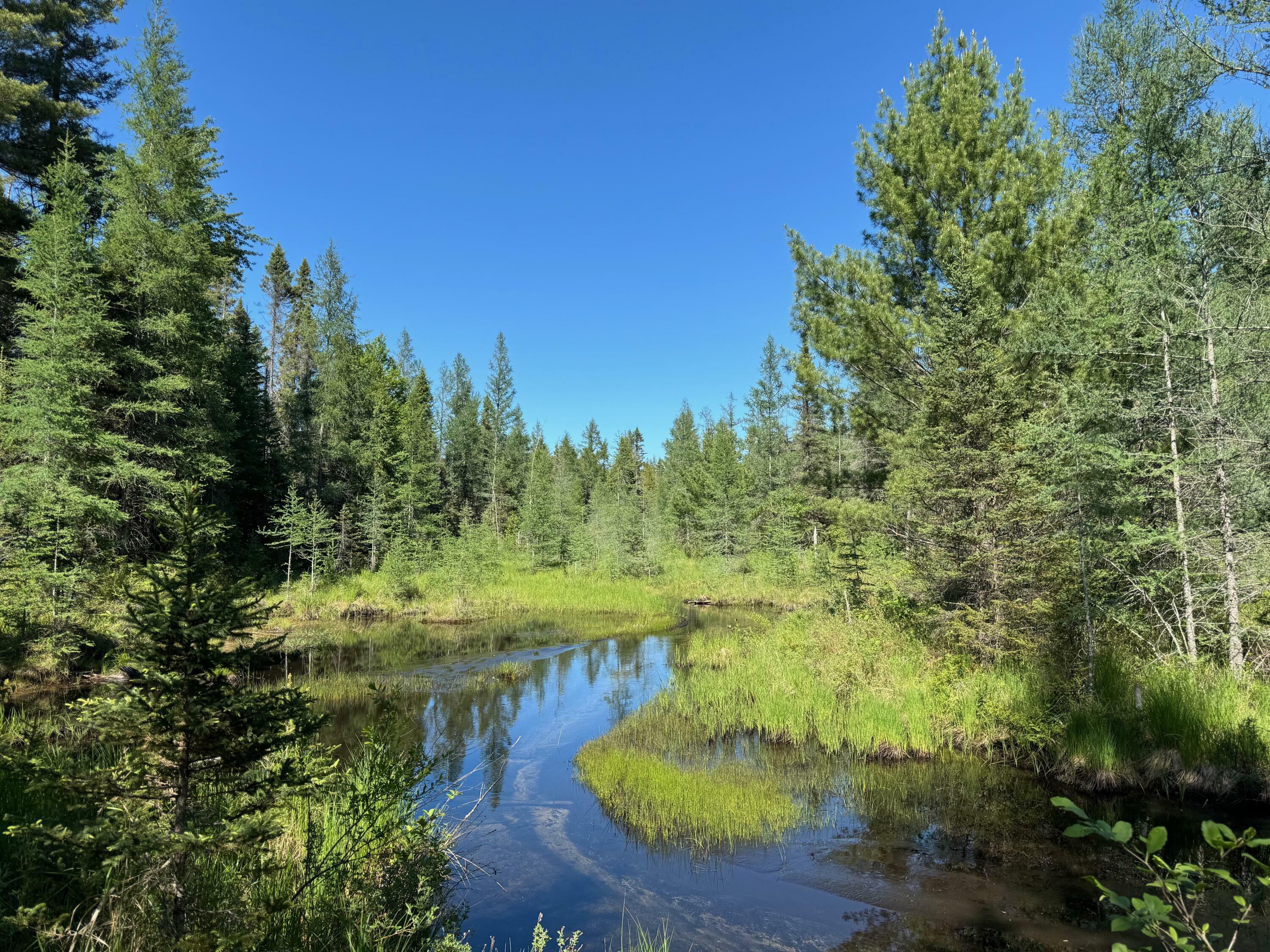 Property Photo: 4085 N Red Oak Road MI 49756