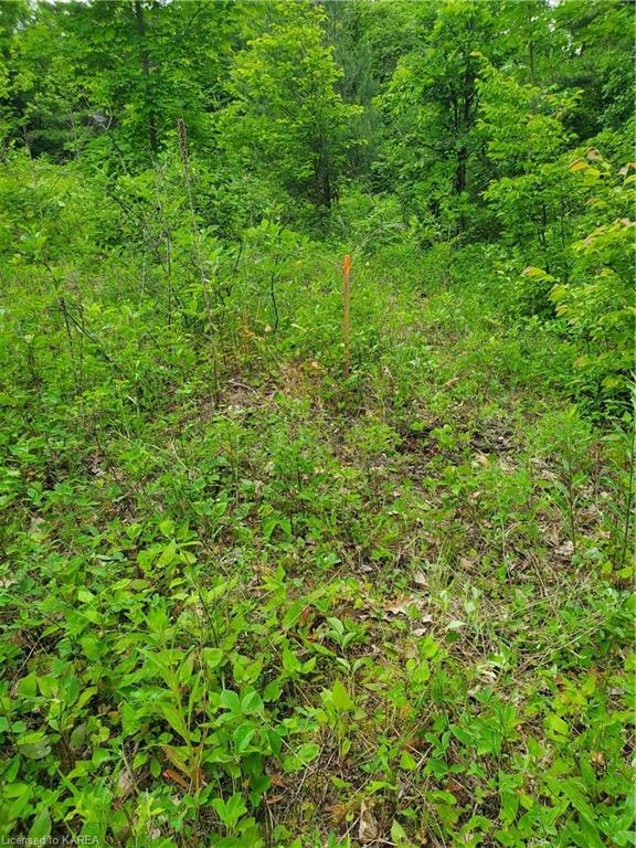 Photo de la propriété:  1891 Mountain Road  ON K0K 3G0 