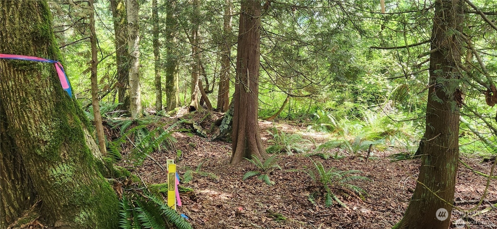 Property Photo: 9446 W 34th Crest Court Ave WA 98230