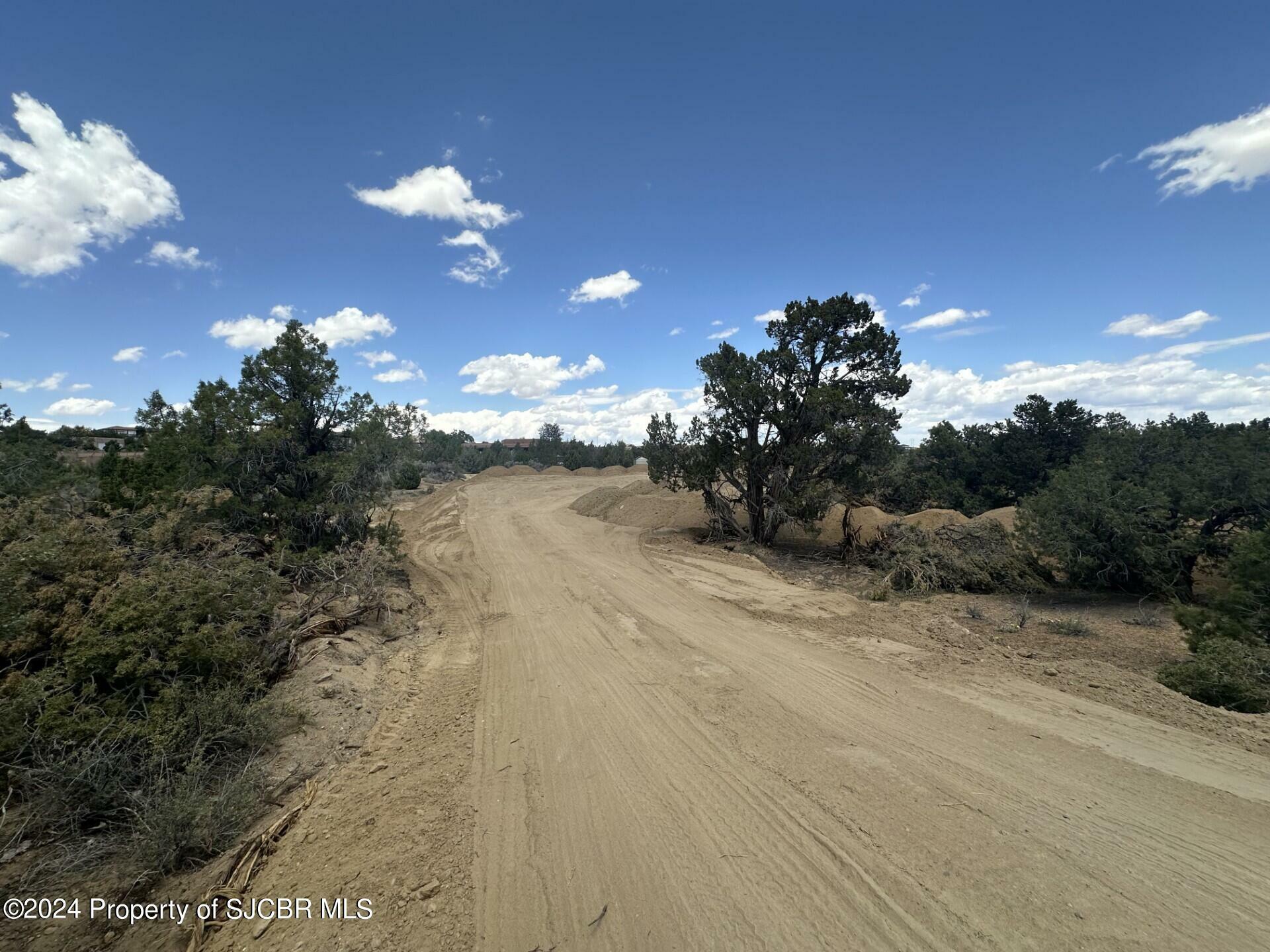 Property Photo:  Lot 22 Antelope Junction  NM 87402 