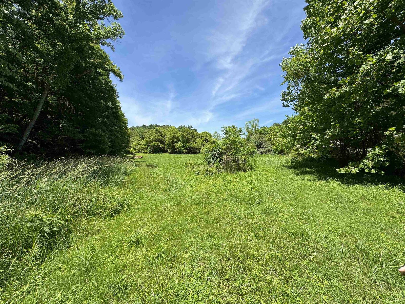 Property Photo:  20 Acres Trace Road  KY 41129 