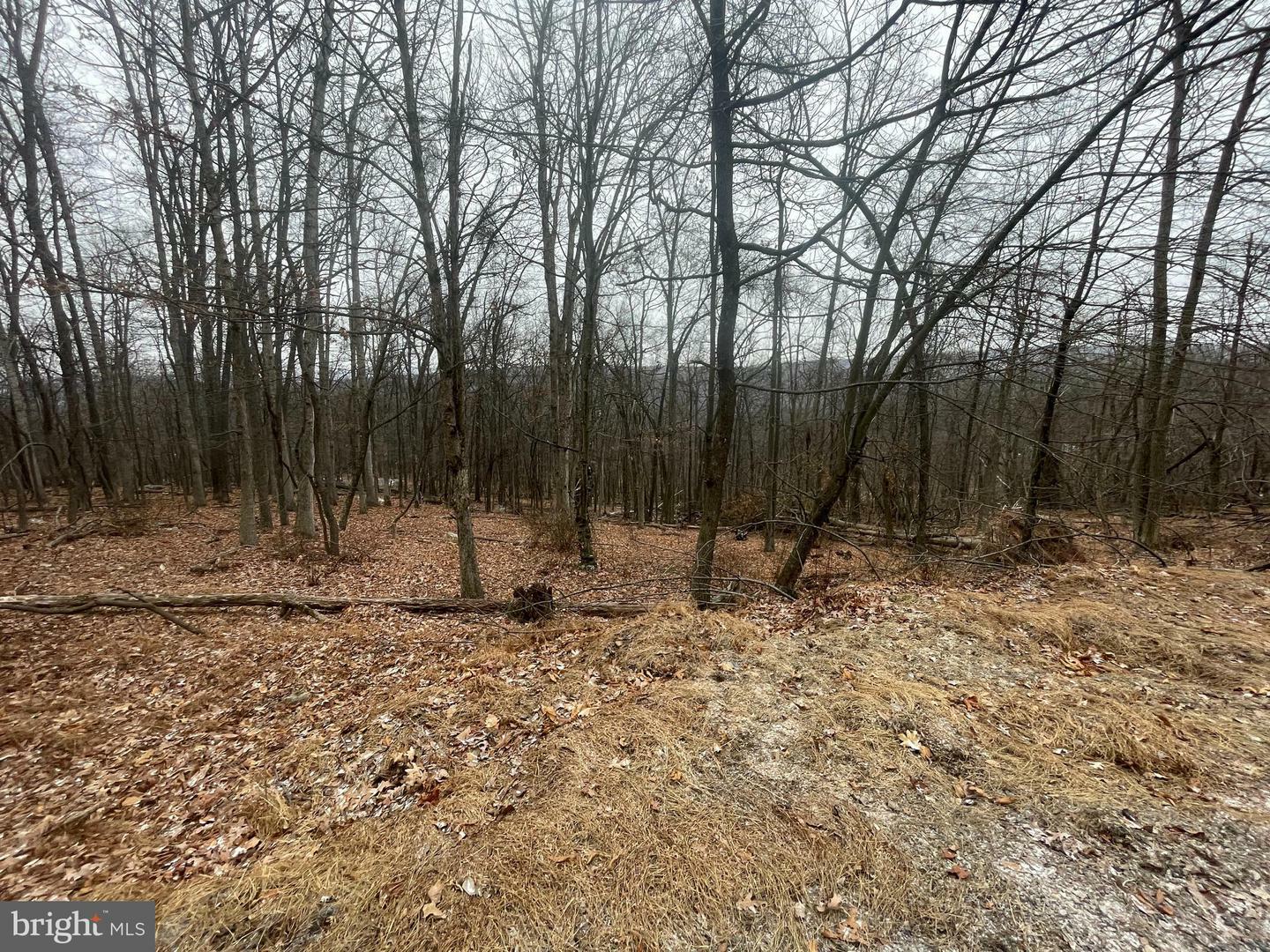 Property Photo:  Lot 40 Wild Apple Lane  WV 25434 