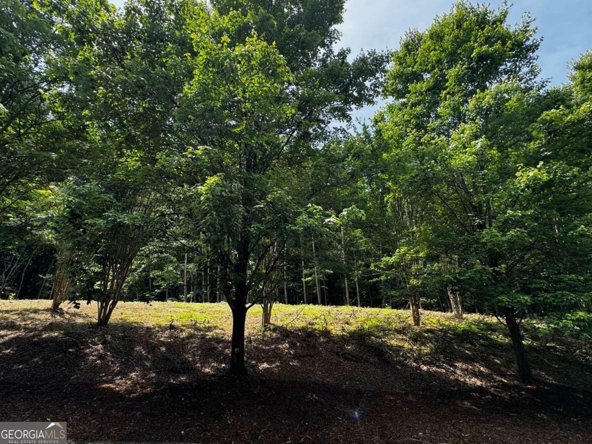 Property Photo:  680 Mitchell Bridge Road Tract 2  GA 30606 