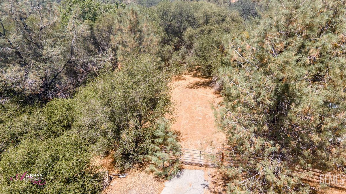 Property Photo:  28060 Carlyle Springs Road  CA 93531 