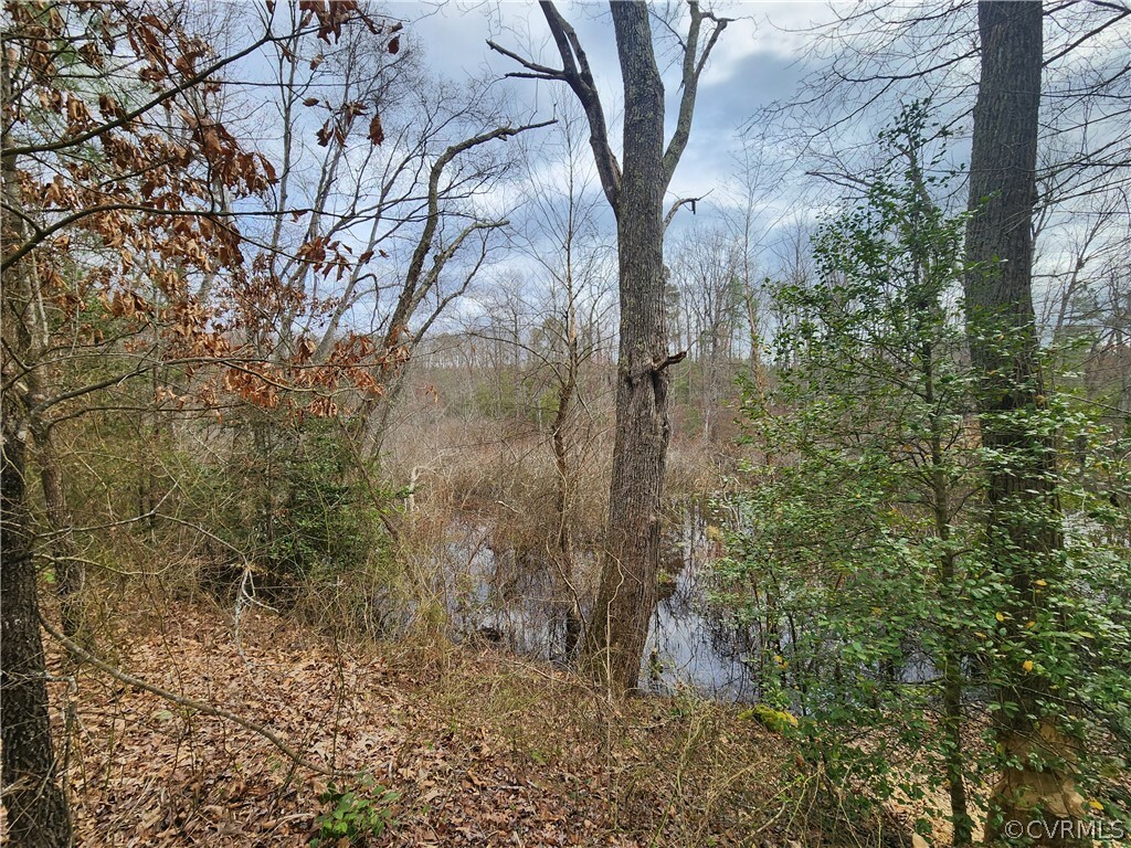 Property Photo:  0  Tbd Kidds Fork Road  VA 22514 