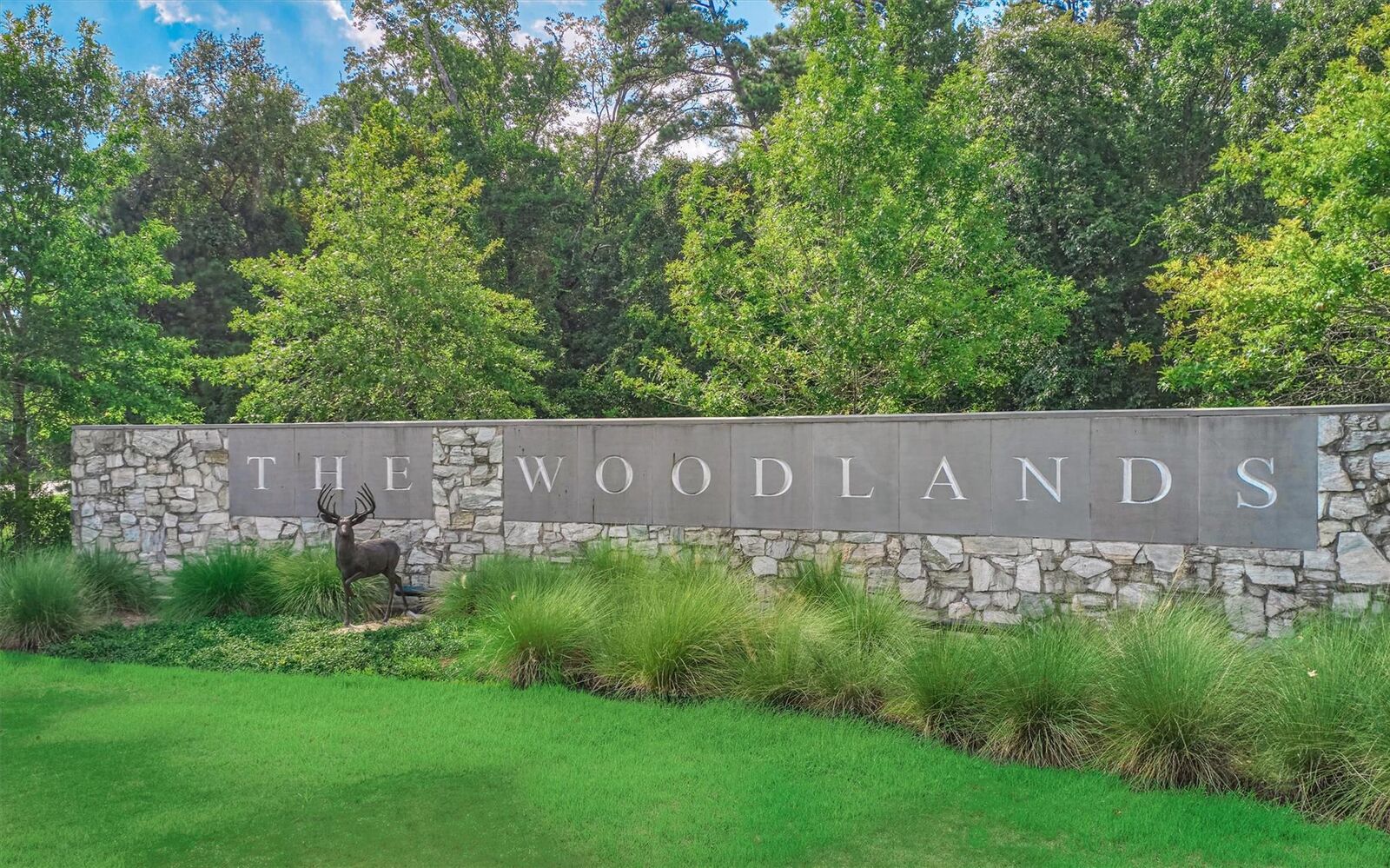 Property Photo: 34 Ebony Oaks Place TX 77382