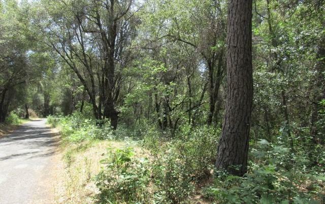 Property Photo:  12717 Armstrong Road  CA 95246 