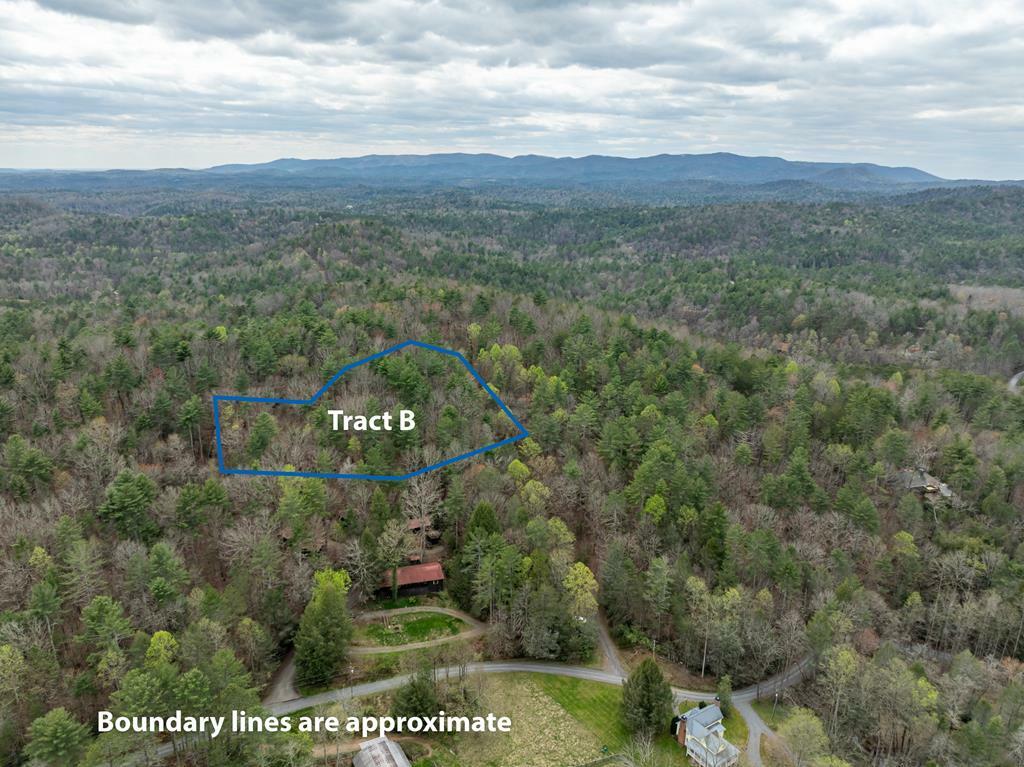 Property Photo:  Tract B Harpers Creek Road  GA 30540 