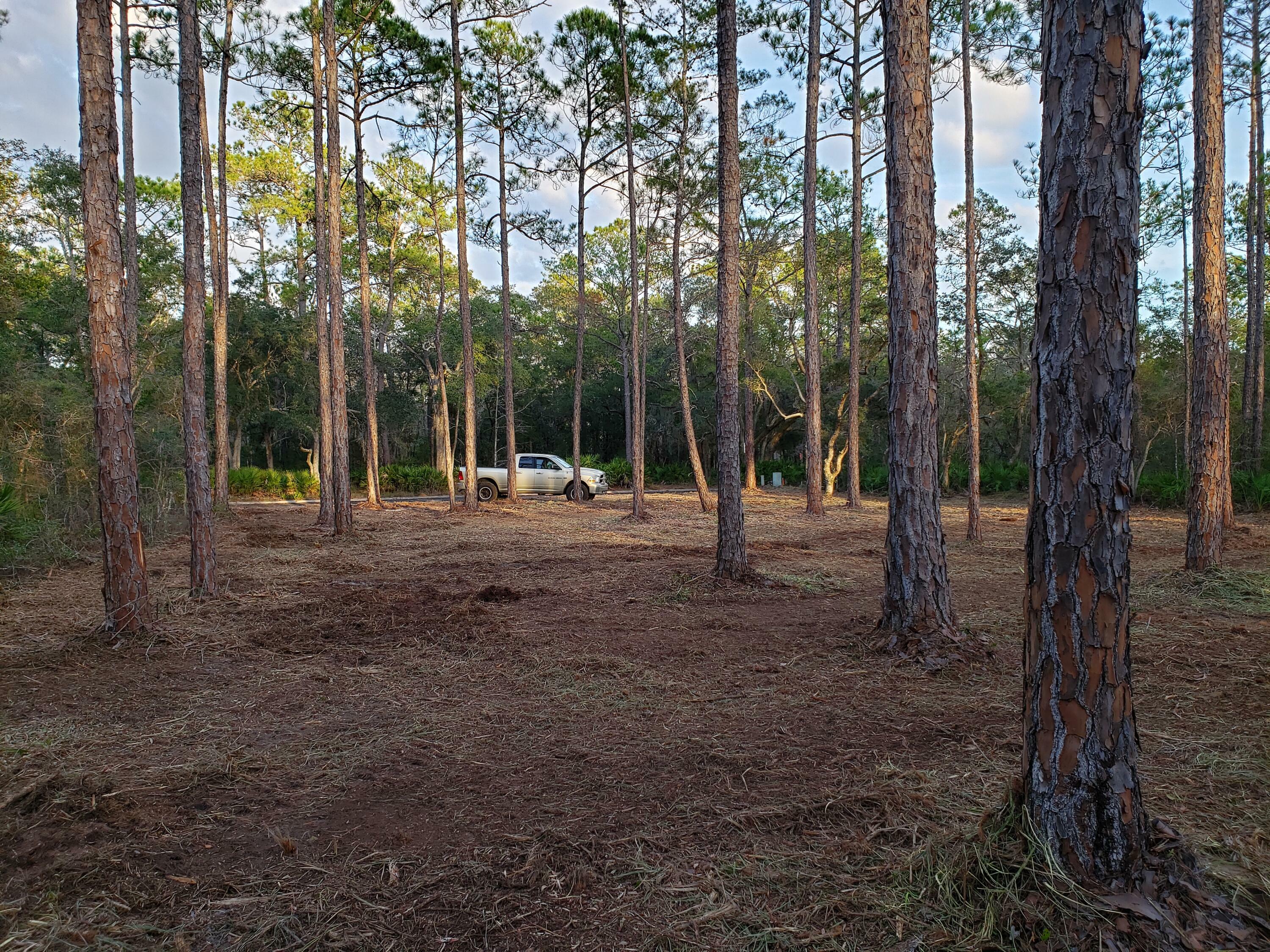 Property Photo:  Lot 31 Cross Creek Circle  FL 32439 