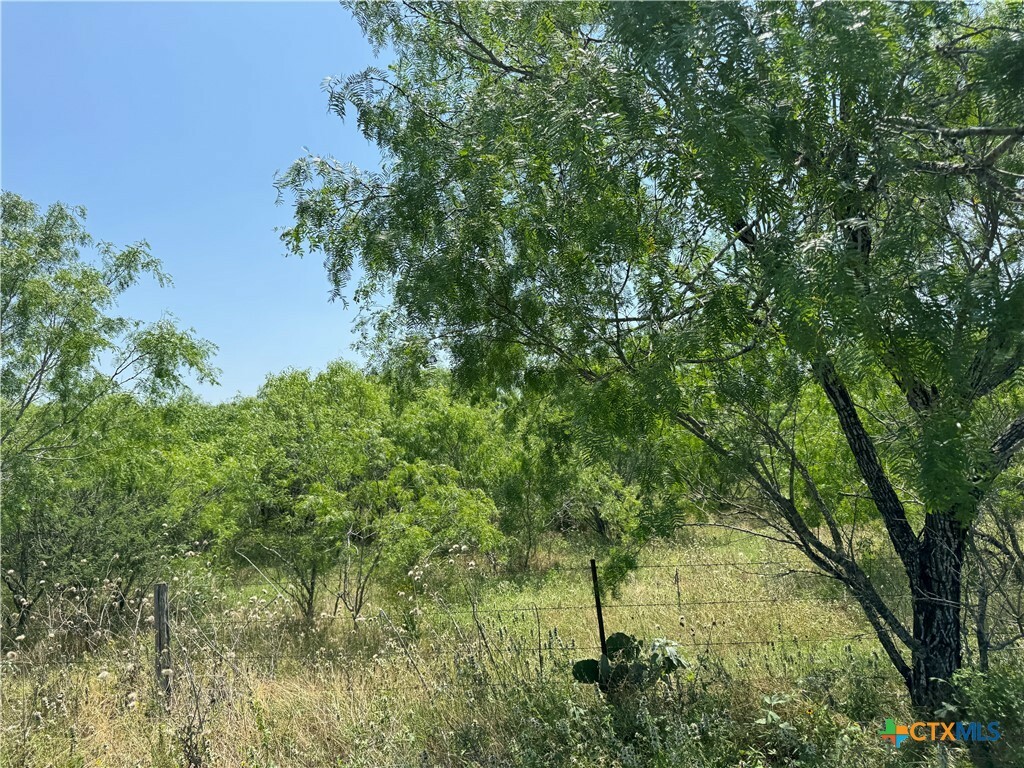 Property Photo:  135 Steele Branch Ln  TX 78160 