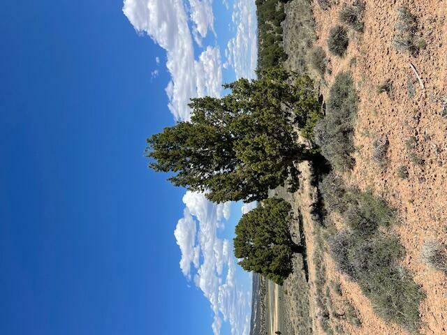 Property Photo:  80 Acres In Hatch Ut.  UT 84735 