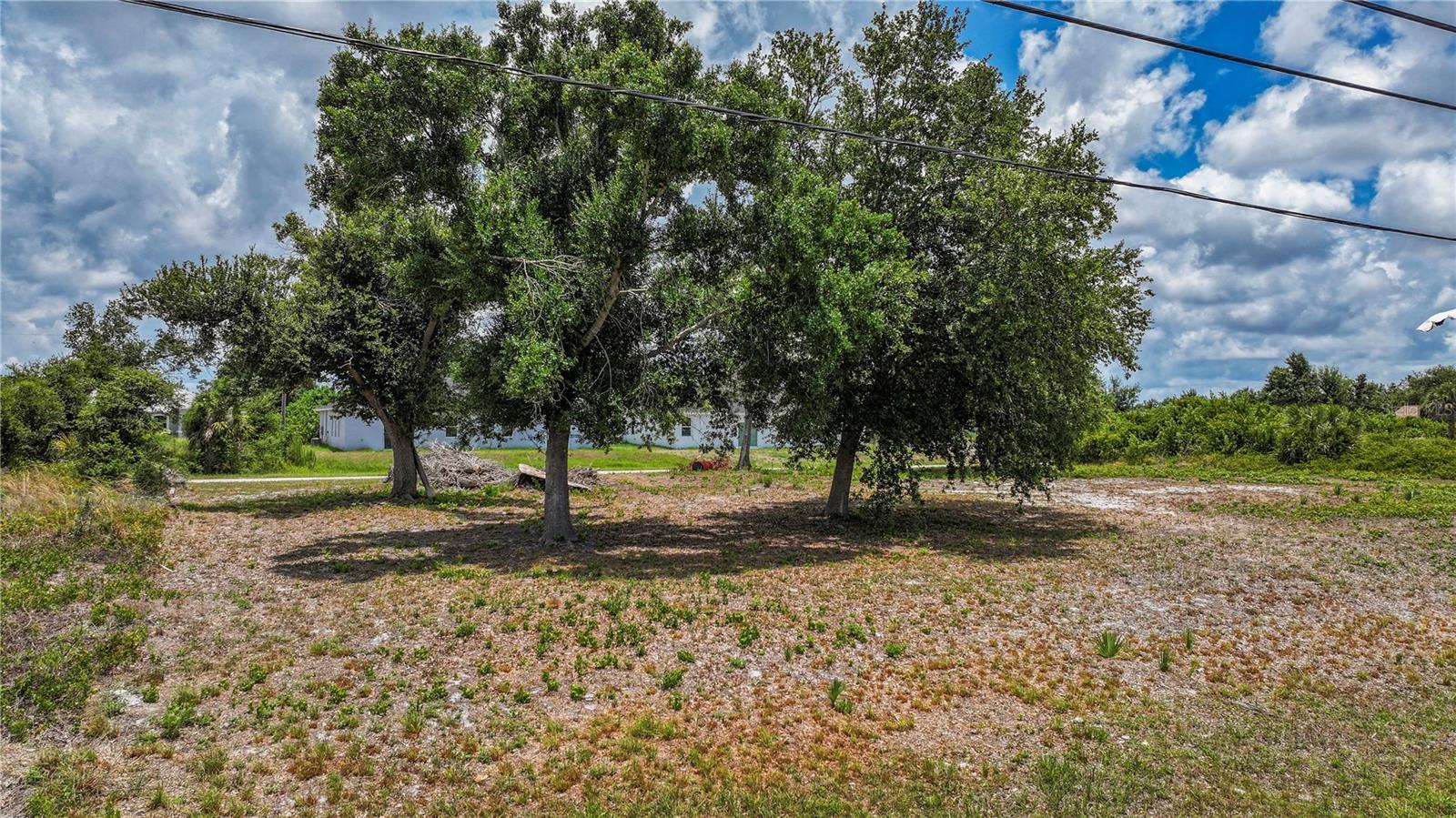 Property Photo: 8576 Wiltshire Drive FL 33981