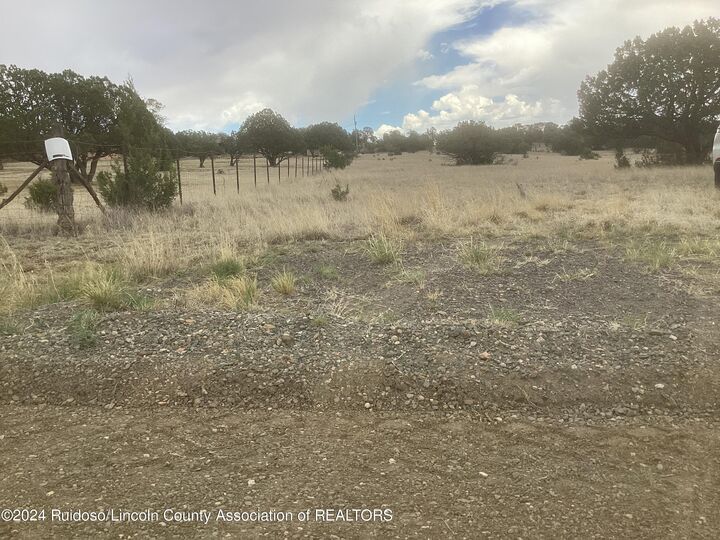 L10 Pomp Court  Capitan NM 88316 photo