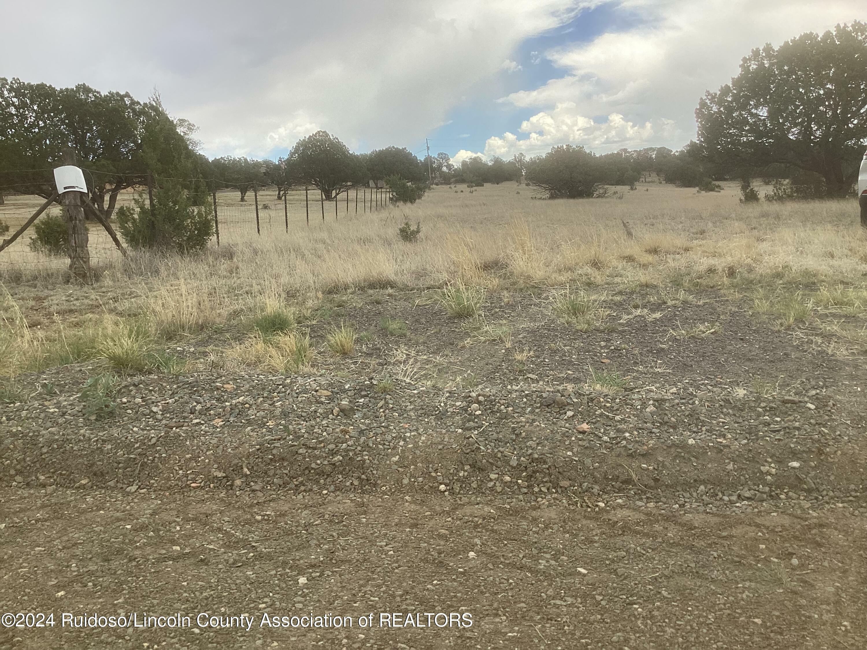 Property Photo: L10 Pomp Court NM 88316