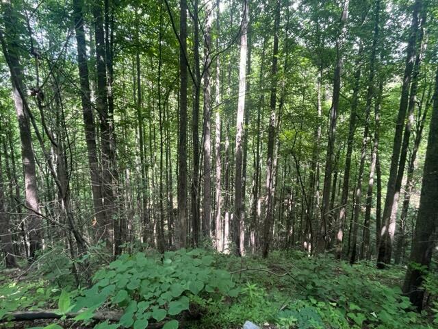 Property Photo:  Lot 15 Sugar Maple Loop Rd  TN 37876 