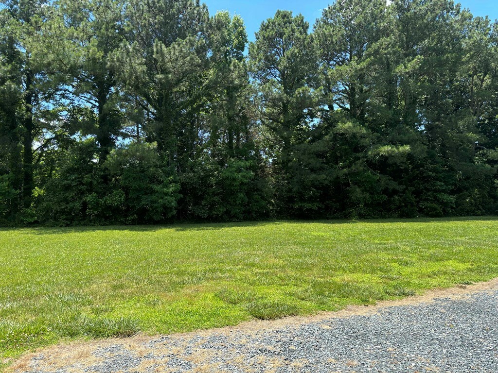 Property Photo:  Lot 3B Switch Bridge Road  VA 23480 