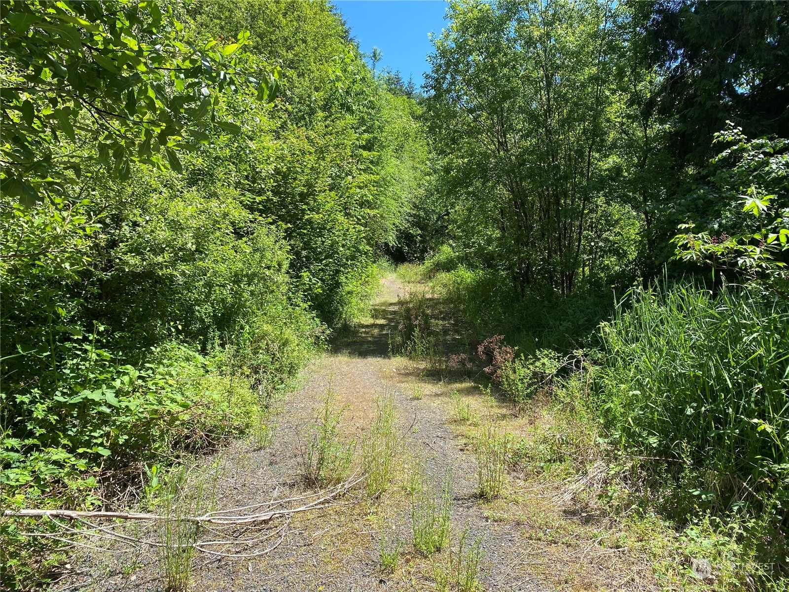 Property Photo:  0 Lot 2 Roe Road  WA 98596 