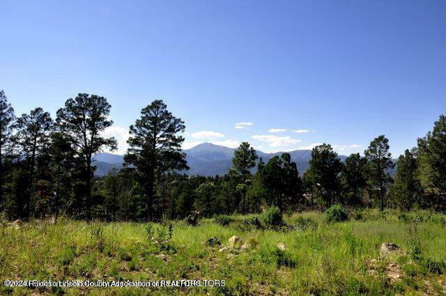 306 Cummings Drive  Ruidoso NM 88345 photo