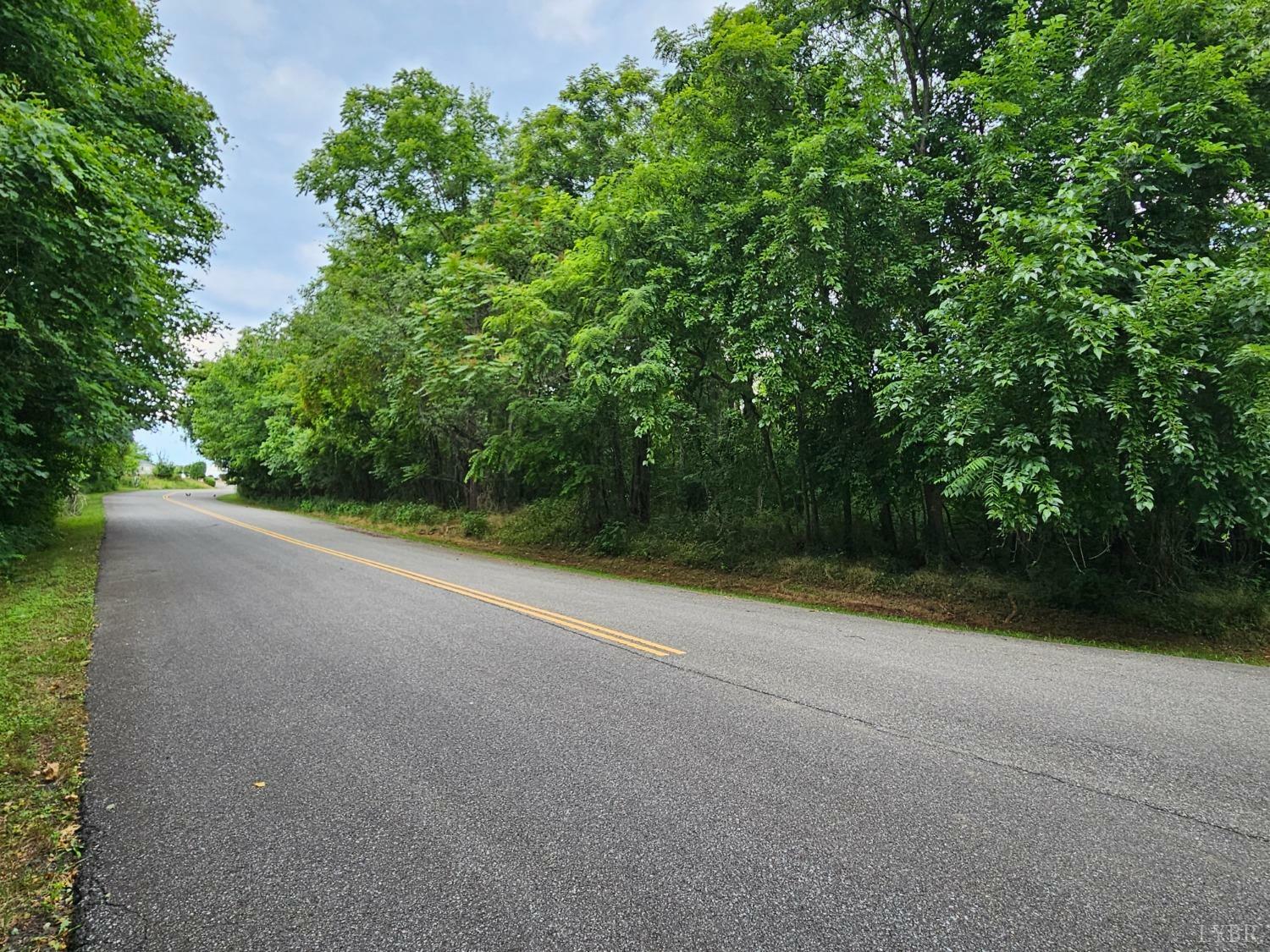 Property Photo:  0 Ole Turnpike Drive  VA 24523 