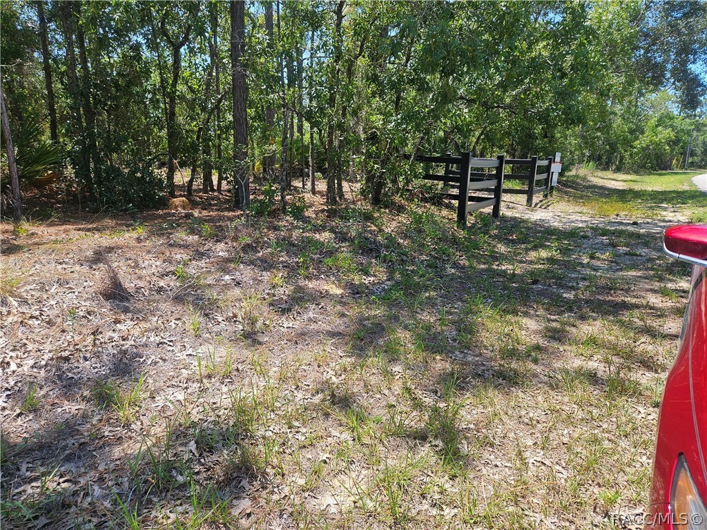 Property Photo:  3236 Bravo Drive  FL 34465 