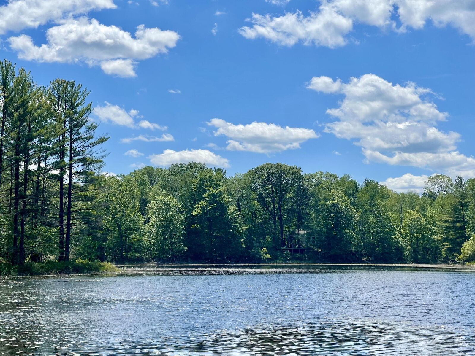 Property Photo: 4571, 4495 Hiawatha Trail MI 49735